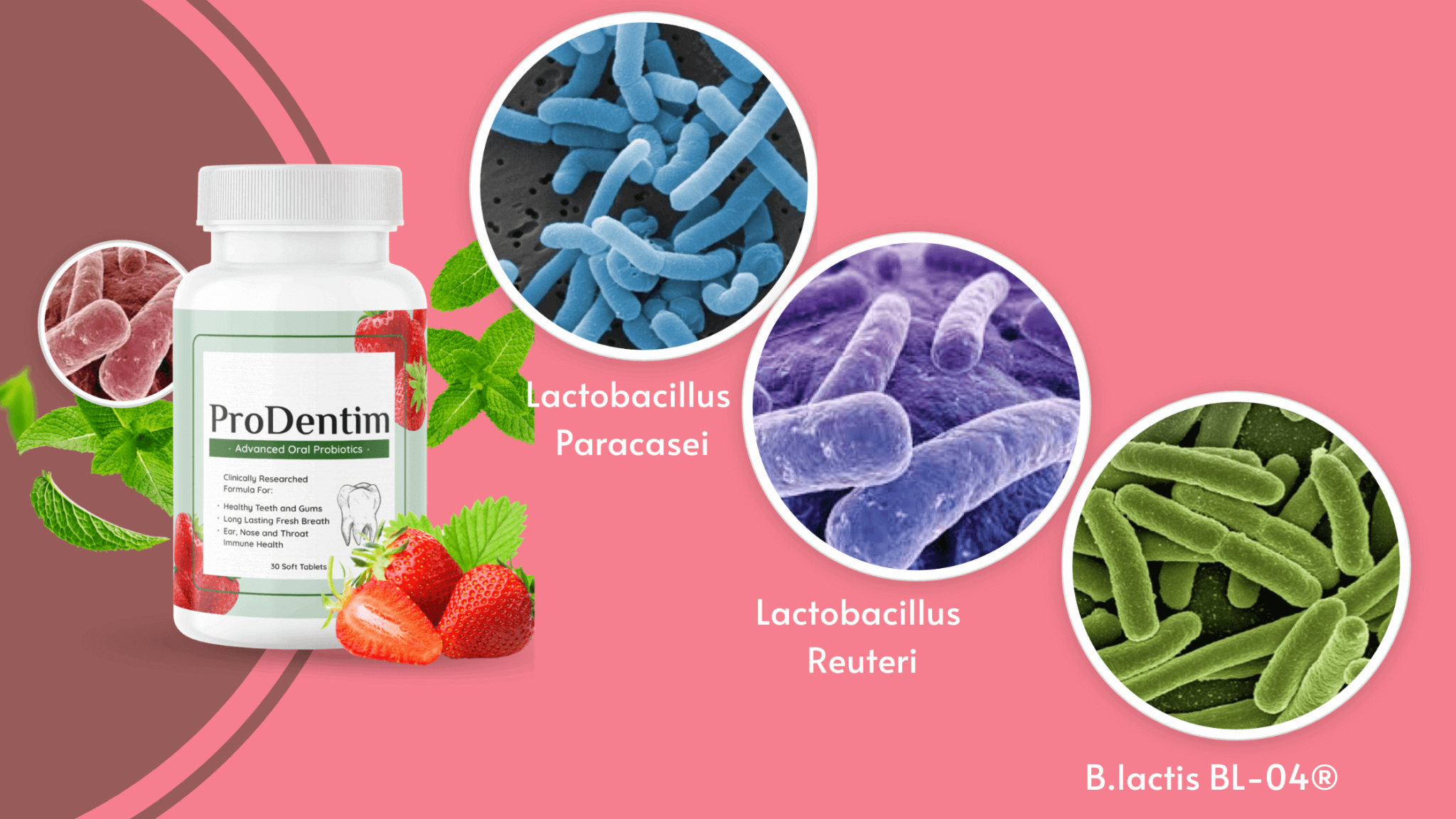 ProDentim Ingredients