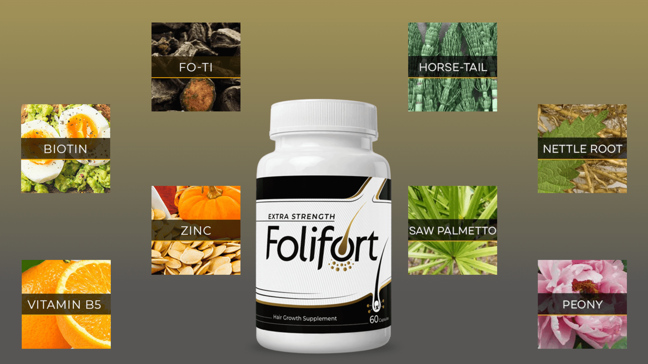 Folifort Ingredients